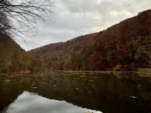 Hámori-tó - Galéria kép