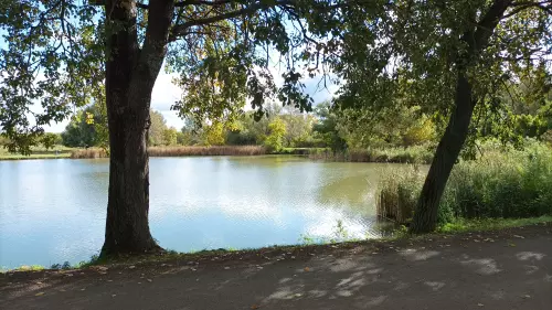 Kenyérgyári-holtág - Galéria kép