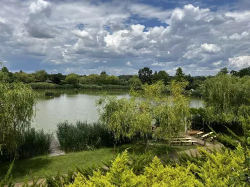 Horgászhely: Nádas horgásztó