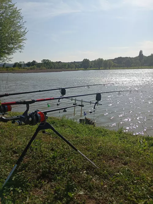 Horgászhely: Cselek Horgásztanya