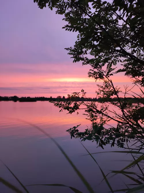 Nagyréti-tó - Galéria kép