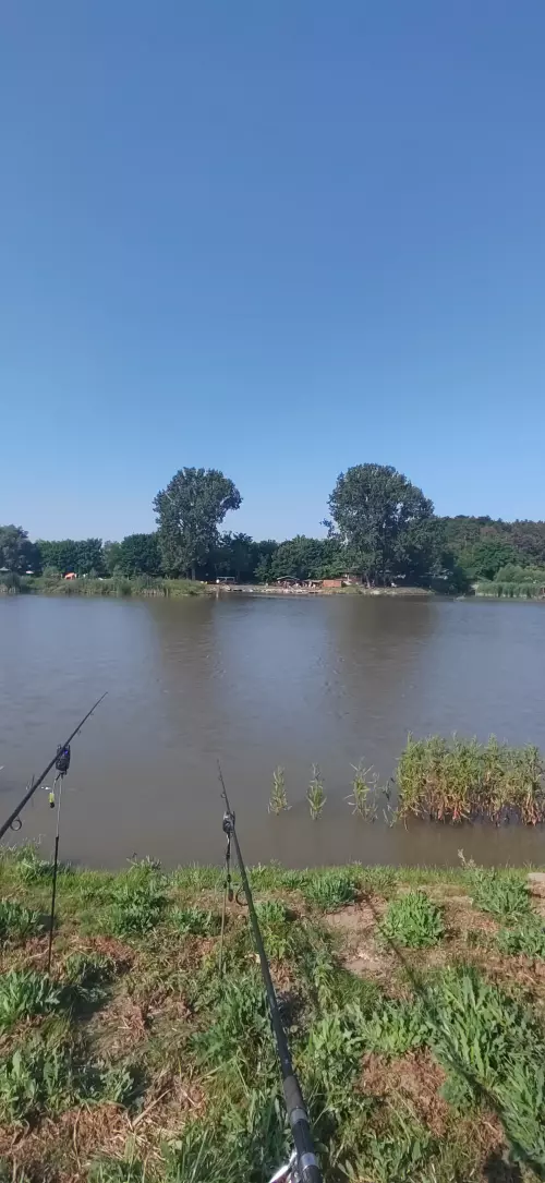 Horgászhely: Mányi Horgásztó