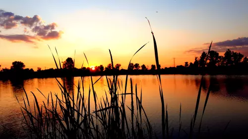 Petőfibányai horgásztó - Galéria kép