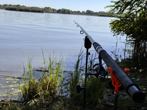 Örvényi-morotva - Galéria kép