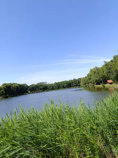 Horgászhely: Joó-tó