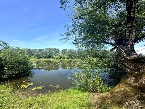 Berek holtág - Galéria kép