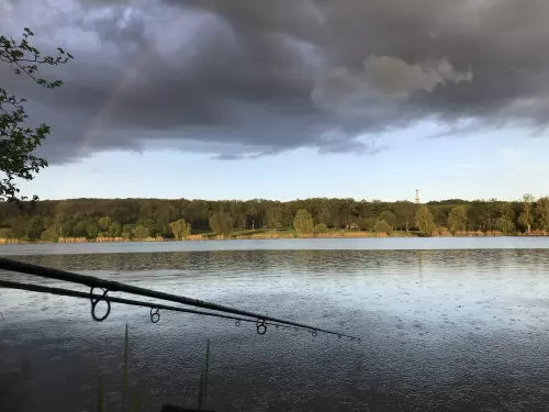 Csónakázó tó - Galéria kép