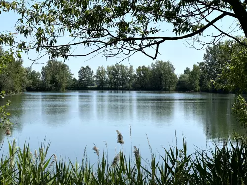 Boldvai tó - Galéria kép