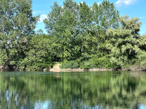 Erdészeti tó - Galéria kép