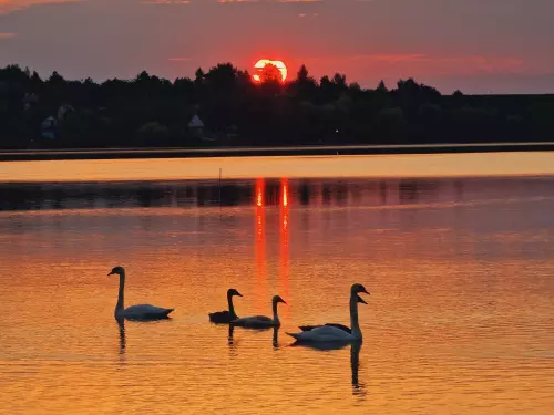 Markazi-víztározó - Galéria kép