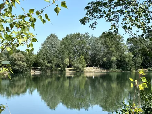 Boldvai tó - Galéria kép