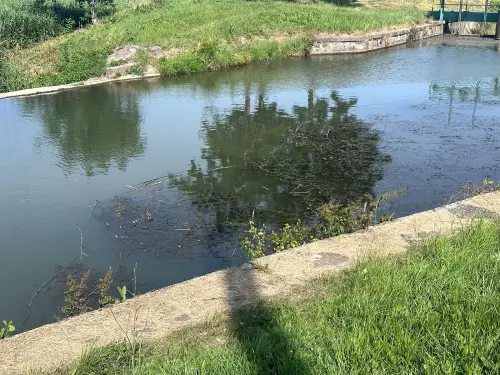 Szerencs-patak - Galéria kép