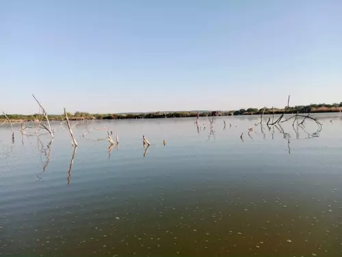 Zalaszentmihályi horgásztó - Galéria kép