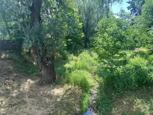 Héti-tó - Galéria kép