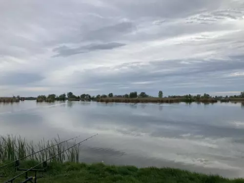 Reed Carp Lake - Galéria kép