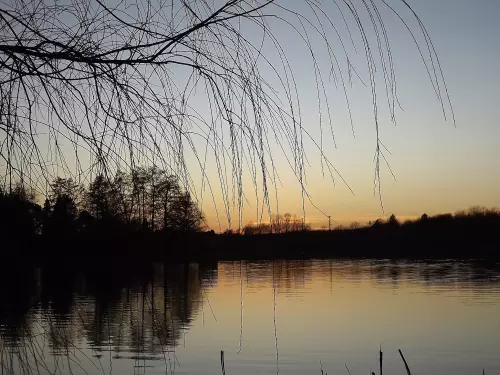 Csónakázó tó - Galéria kép