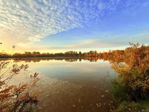Sziksós-tó horgászhely képe – Szeged - Kiskundorozsma