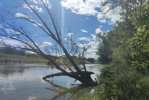 Horgászhely: Nicki műgát