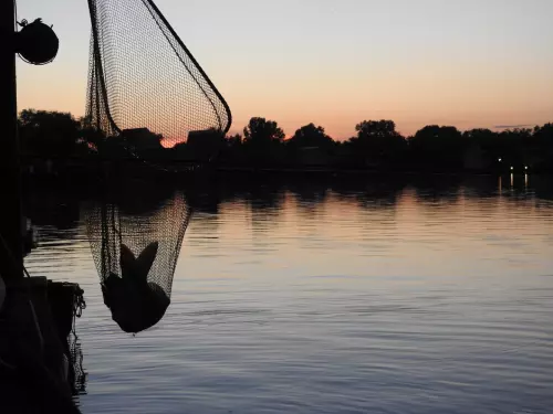 Horgászhely: Bokodi-tó