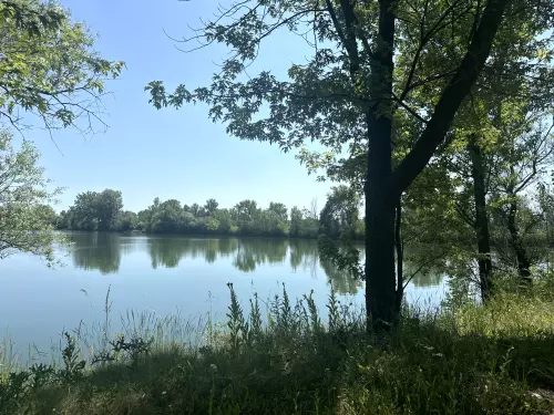 Boldvai tó - Galéria kép