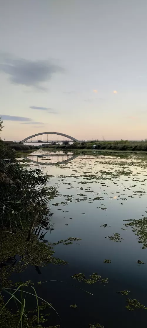 Horgászhely: Keleti-főcsatorna