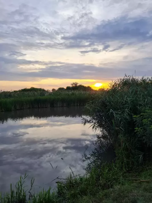 Hortobágy folyó - Galéria kép