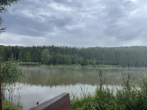 Hársas-tó - Galéria kép