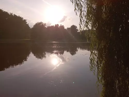 Surdi parktó - Galéria kép