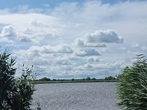 S2-es horgásztavak - Galéria kép