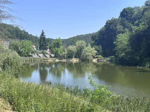 A leggyakoribb halfajok Magyarországon