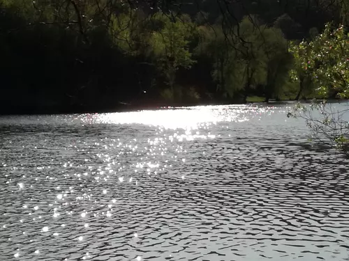 Mecsekpölöskei horgásztó - Galéria kép