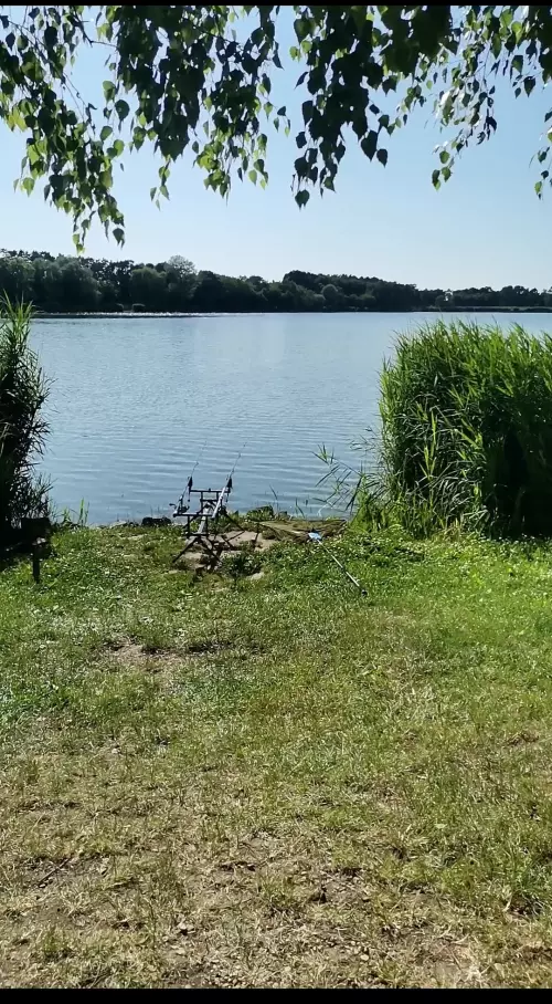 Lőrintei-víztározó - Galéria kép