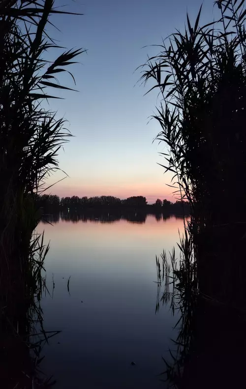 Fás-tó - Galéria kép