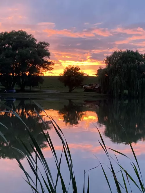 Horgászhely: Zalavégi Sporthorgász Tavak
