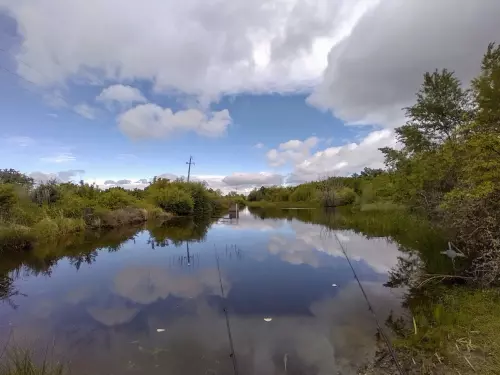 Horgászhely: Muzsla-tó