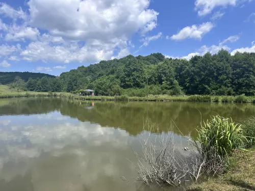 Trizsi horgásztó - Galéria kép