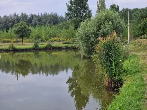 Ordas-tavak - Galéria kép