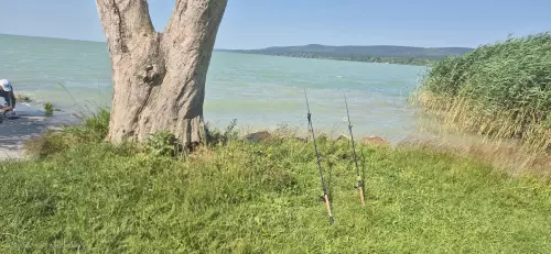 Balaton, zánkai partszakasz horgászhely képe – Zánka