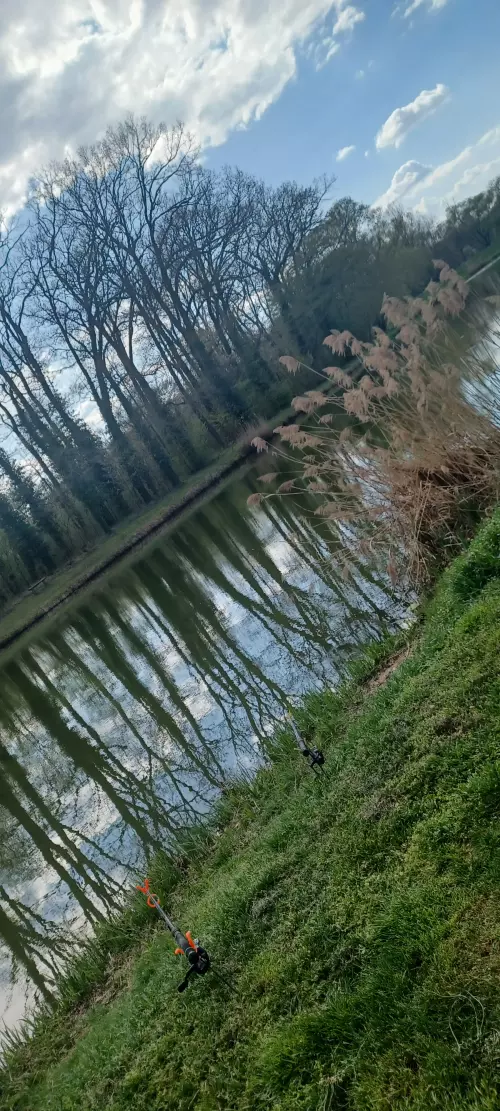 Kerkaszentkirályi Kerka-holtág - Galéria kép