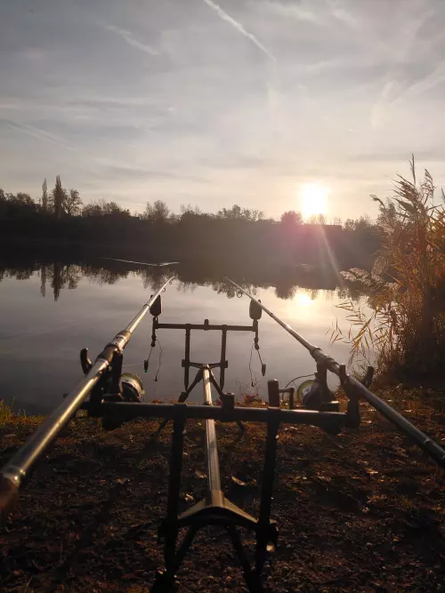 Dunakeszi Horgásztó - Galéria kép