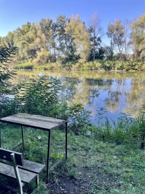 Kis-Tisza holtág - Galéria kép