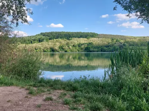 Szálkai-tó - Galéria kép