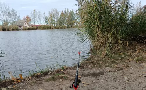 Kunság tava horgásztó - Galéria kép