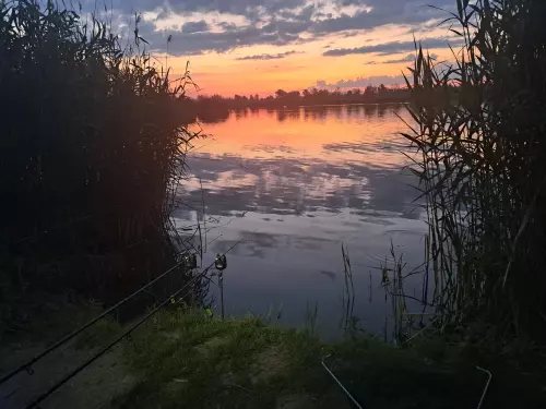 Fás-tó - Galéria kép