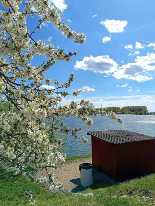 Mátravíz Horgásztó - Galéria kép