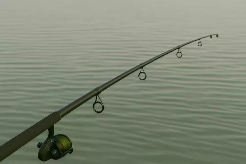 Crazy Carp Lake horgászhely képe – Kengyel