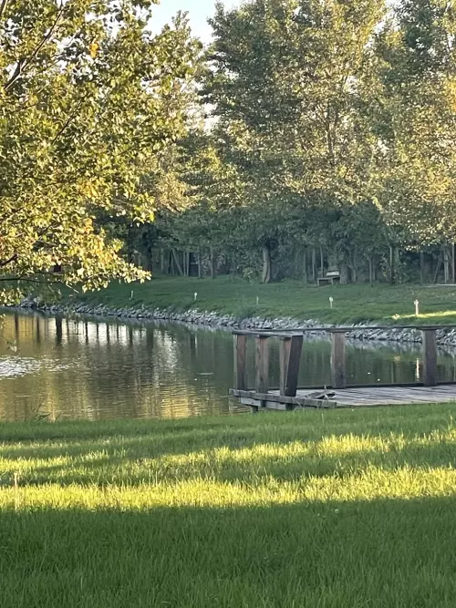 Palocsa horgásztó - Galéria kép