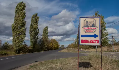 Gyékényes Horgásztó - Galéria kép