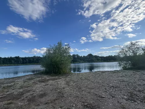 Horgászhely: Bogácsi sporthorgász-tó