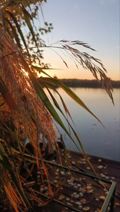 Mátravíz Horgásztó - Galéria kép
